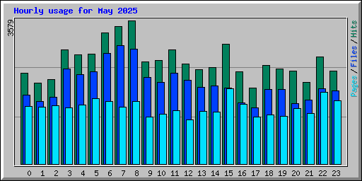 Hourly usage for May 2025