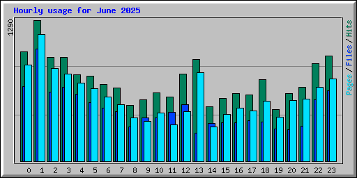 Hourly usage for June 2025