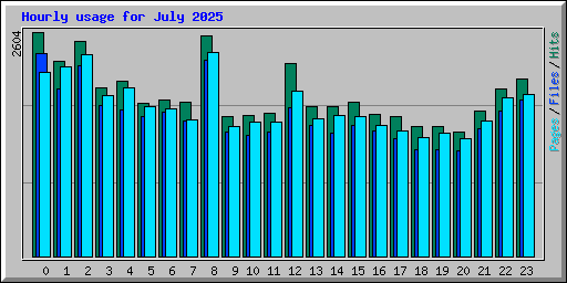 Hourly usage for July 2025