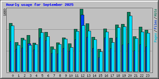 Hourly usage for September 2025