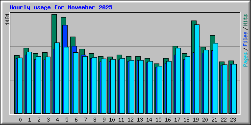Hourly usage for November 2025